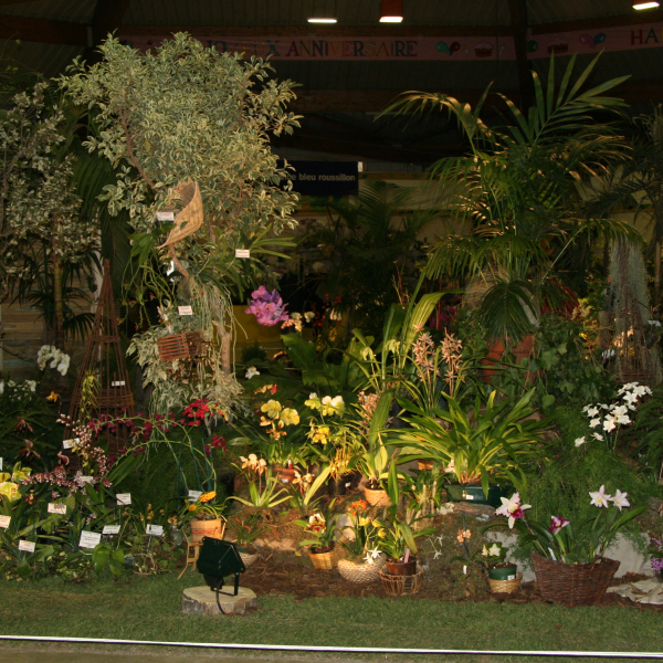 Perpignan_2006