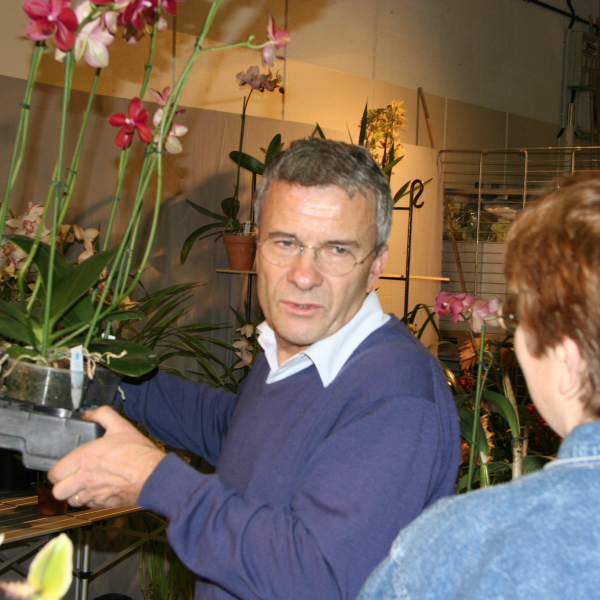 Perpignan_2006