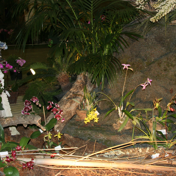 Perpignan_2006