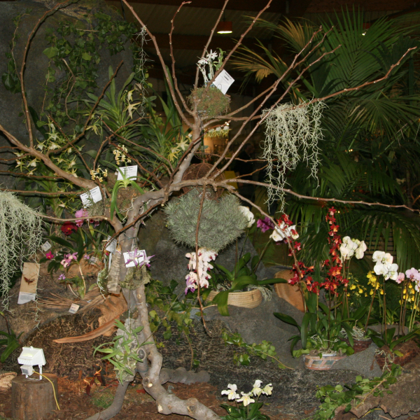 Perpignan_2006