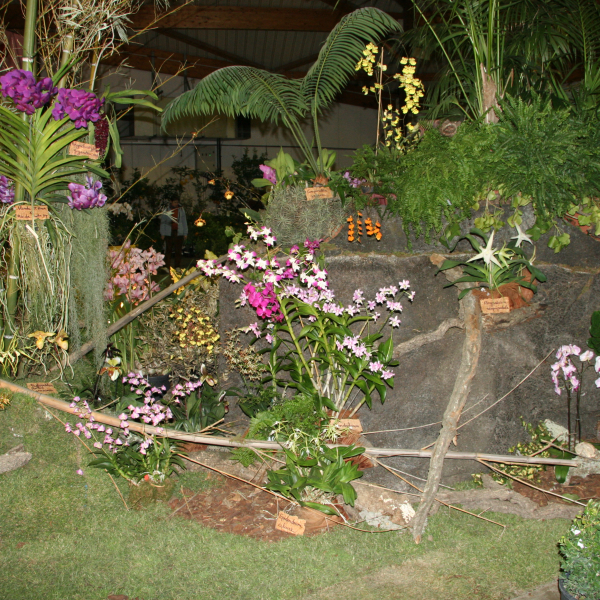 Perpignan_2006