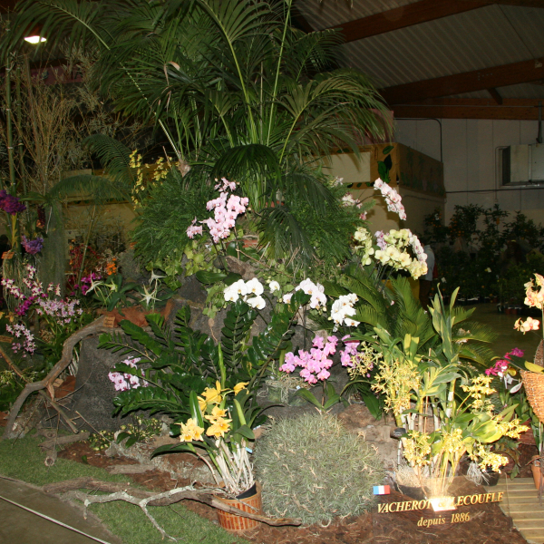 Perpignan_2006