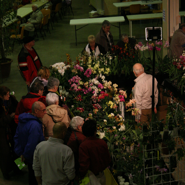 Perpignan_2006