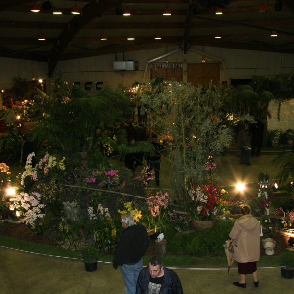 Perpignan_2006