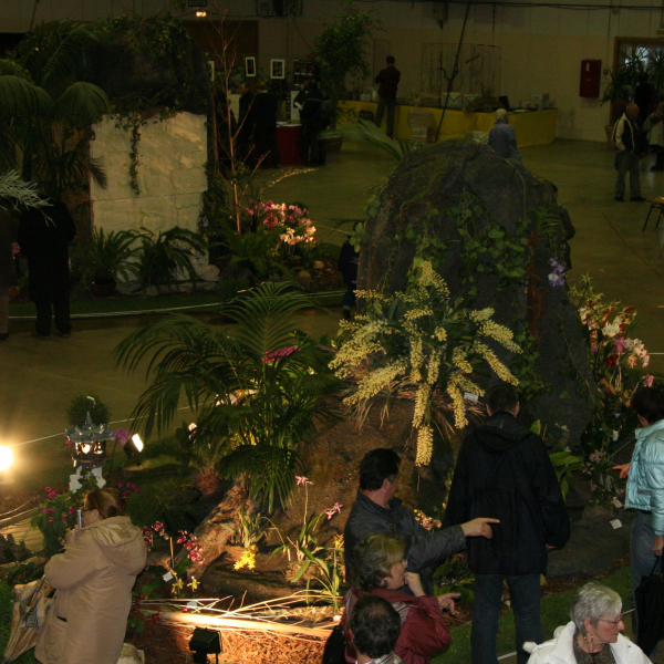 Perpignan_2006