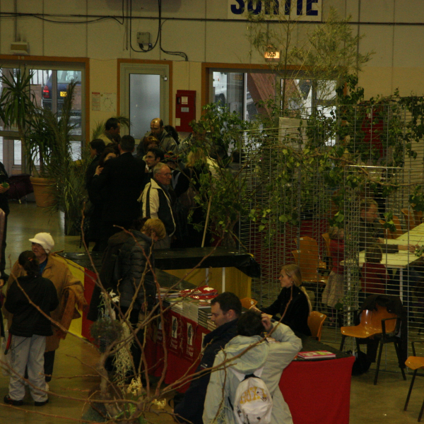 Perpignan_2006