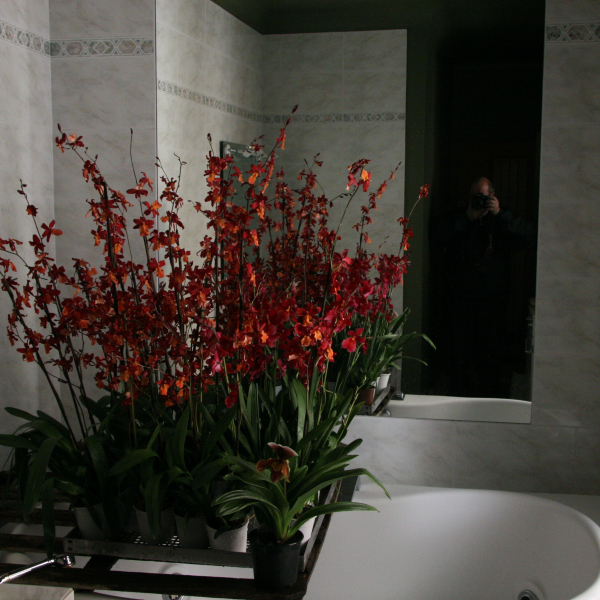 Perpignan_2006