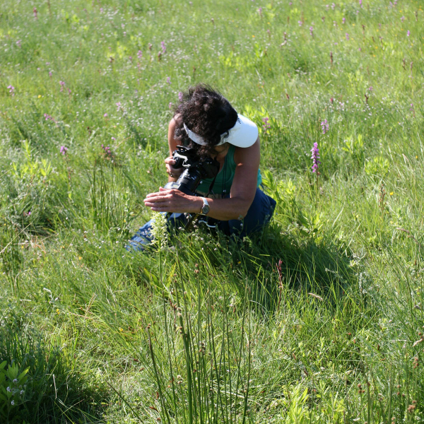 Photographe
