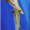 ORCHIDEES DU FENOUILLEDES